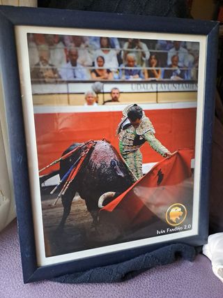 Cuadro toros Iván Fandiño