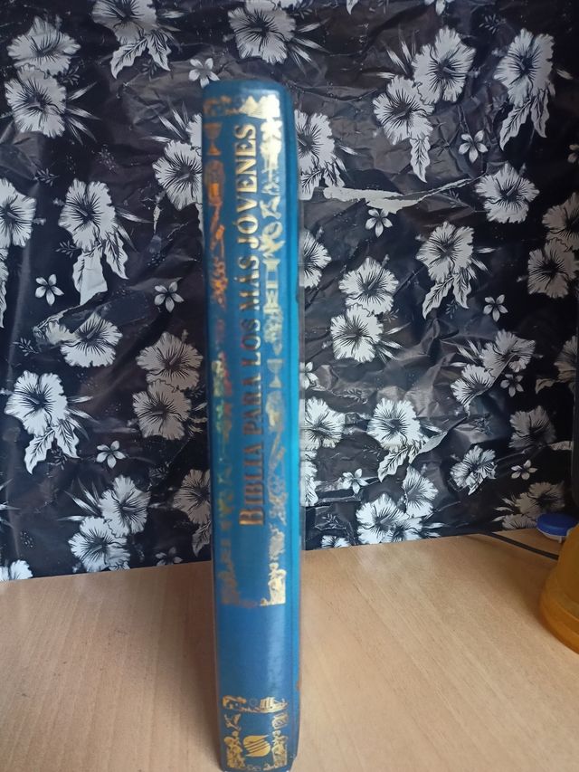 Biblia para los más jóvenes 