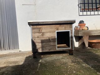 caseta perro madera