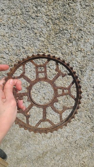 Catalina bicicleta vintage