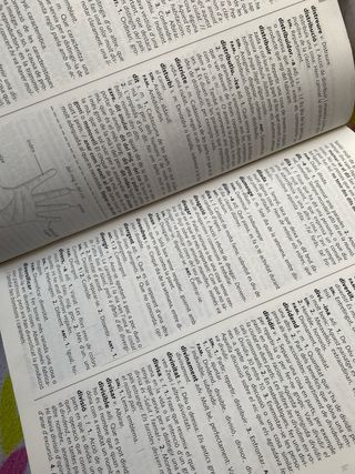 Diccionario Valenciano