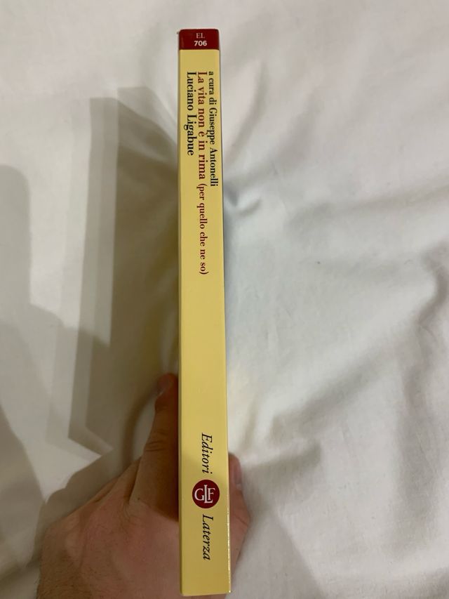 Libro Ligabue “la vita non è in rima”