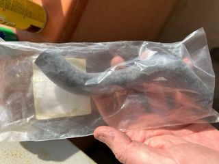 manguito de radiador de ktm 50 de niño