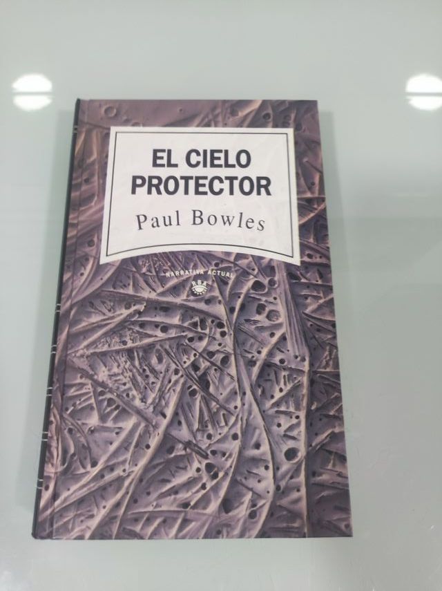 Libro El cielo protector