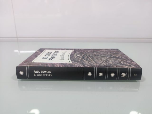 Libro El cielo protector