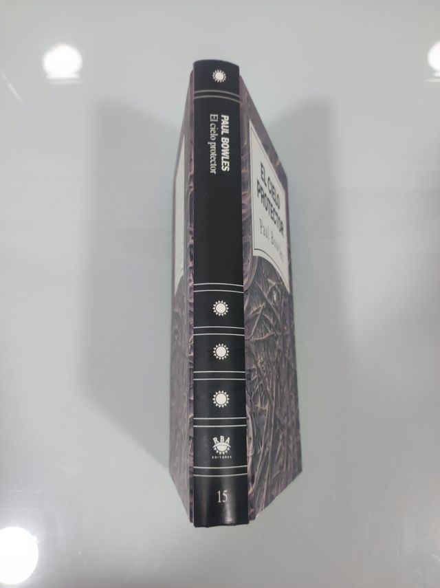 Libro El cielo protector