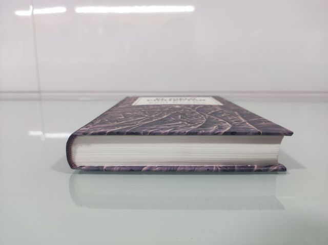 Libro El cielo protector