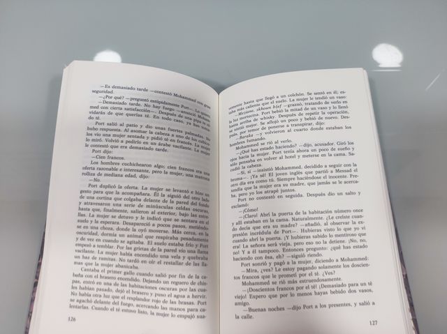 Libro El cielo protector