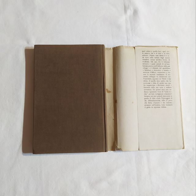 Libro Trieste e una donna