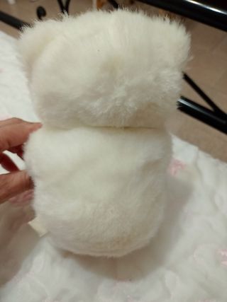    peluche    Orsetto con cornice 