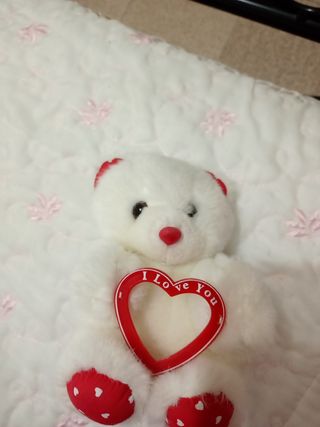    peluche    Orsetto con cornice 