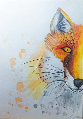 Disegni ad acquerello