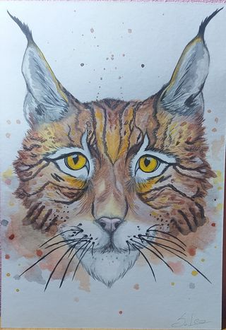 Disegni ad acquerello