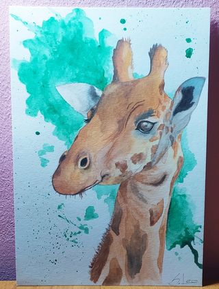 Disegni ad acquerello