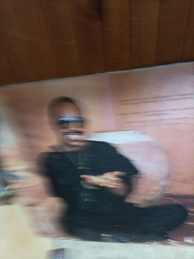 Vinilo STEVE WONDER.