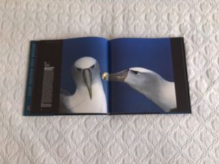 Fotografos de naturaleza 2005