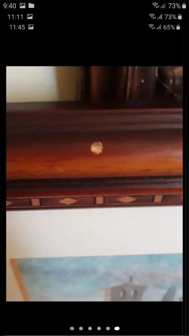 Autenticas acuarelas