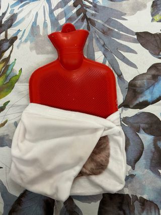 borsa dell’acqua calda con fodera disegno gattino