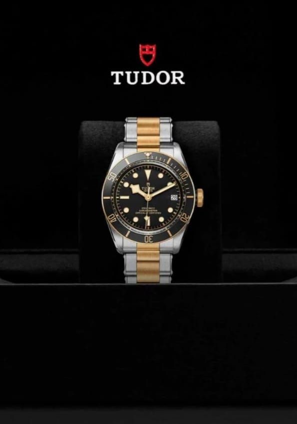 Reloj TUDOR BLACK BAY 79733N