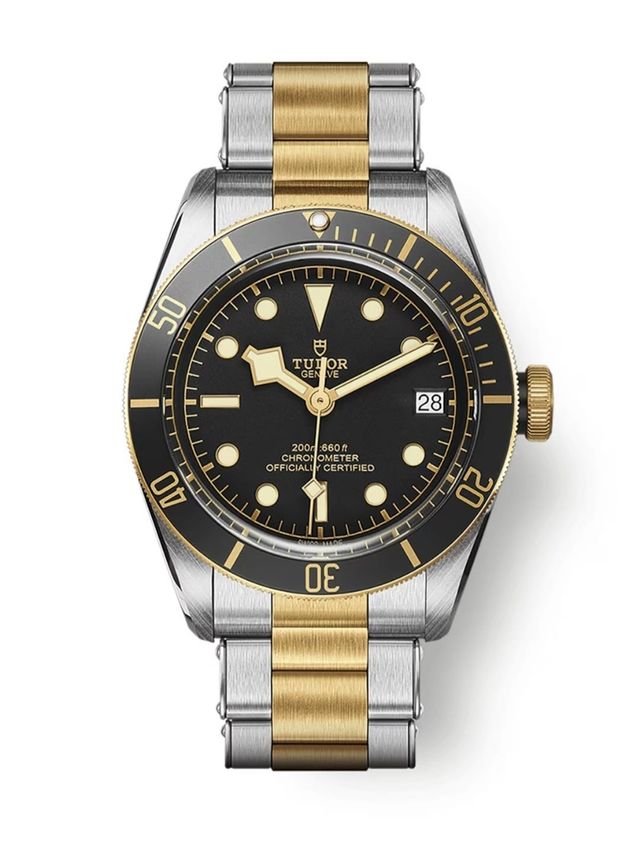 Reloj TUDOR BLACK BAY 79733N