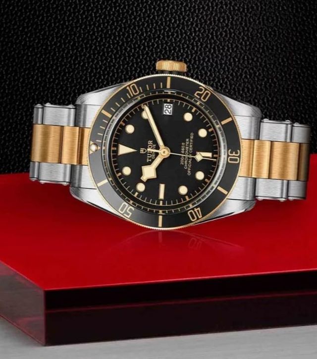 Reloj TUDOR BLACK BAY 79733N