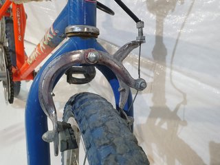 Volpy Homma Sport