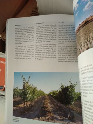 Blayais Urgelll. Comarques d Europa