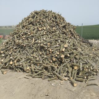 Leña de olivo