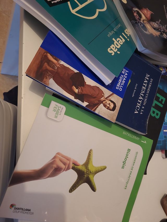 Libros de bachillerato 1