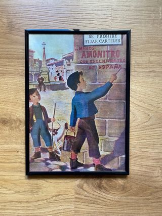 Cuadro publicidad Amonitro