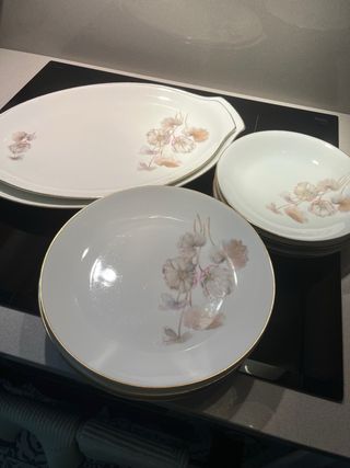 2 bandejas Santa Clara grandes y regalo platos
