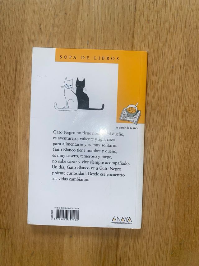 Gato negro gato blanco
