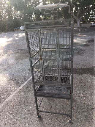 Jaula loro, agaporni, ave