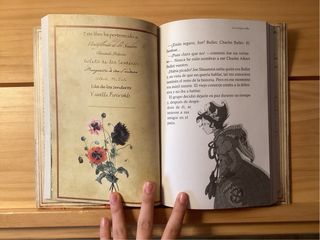 Libro "Capitán Grisam y el amor" Fairy Oak