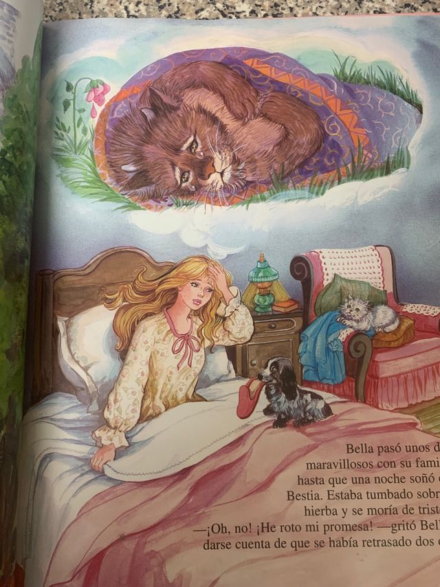 Libro Cuentos de Hadas .