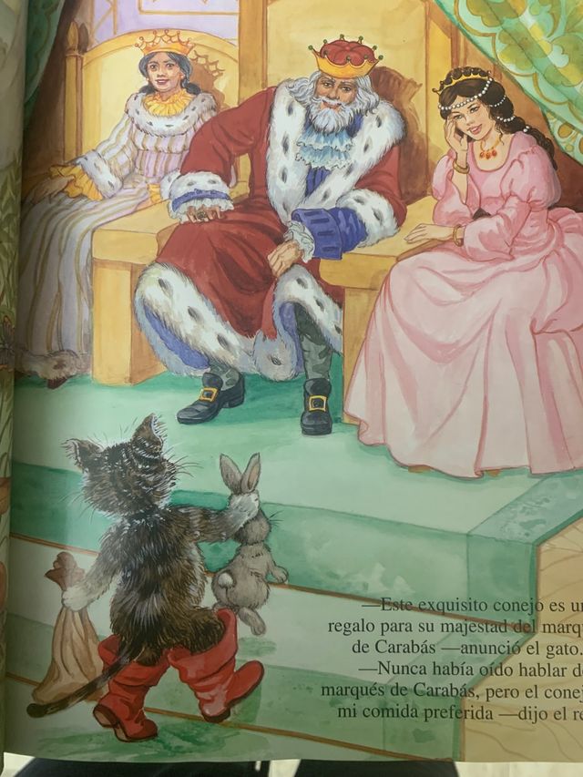 Libro Cuentos de Hadas .