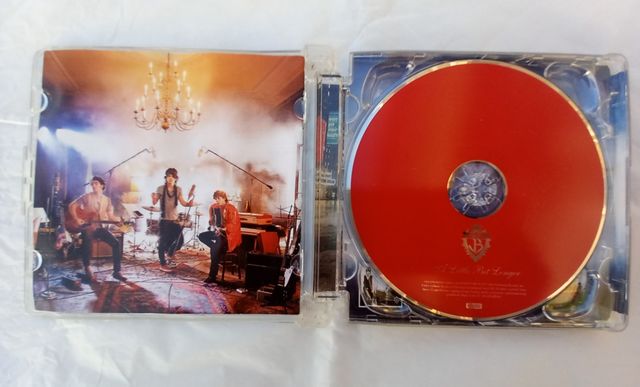 Cd Jonas brothers (a little bit longer)
