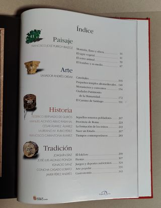 El libro de oro de Castilla y León