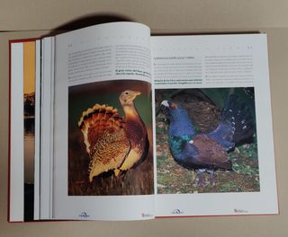 El libro de oro de Castilla y León