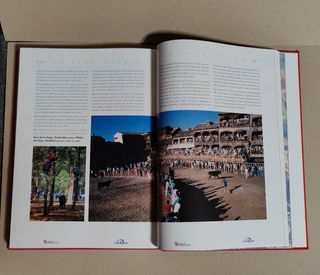 El libro de oro de Castilla y León