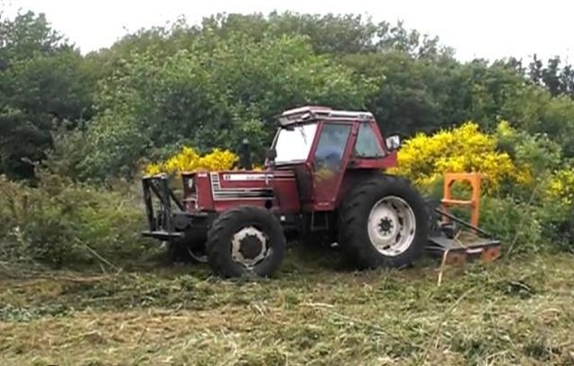 Se desbrozan todo tipo de fincas forestales