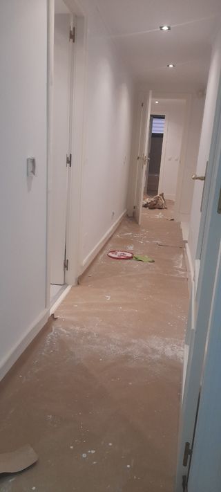 Pintores económicos