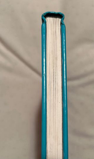 Libro Mascotas Adorables