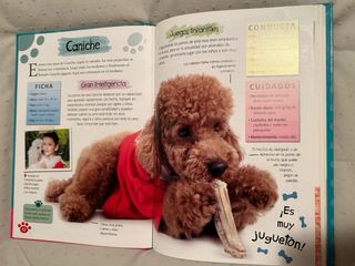 Libro Mascotas Adorables
