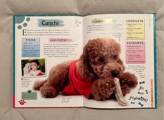 Libro Mascotas Adorables