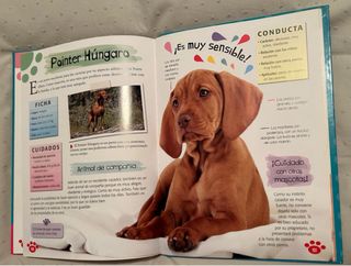 Libro Mascotas Adorables