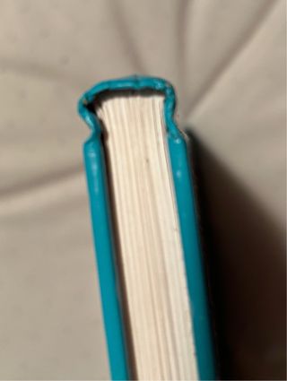 Libro Mascotas Adorables