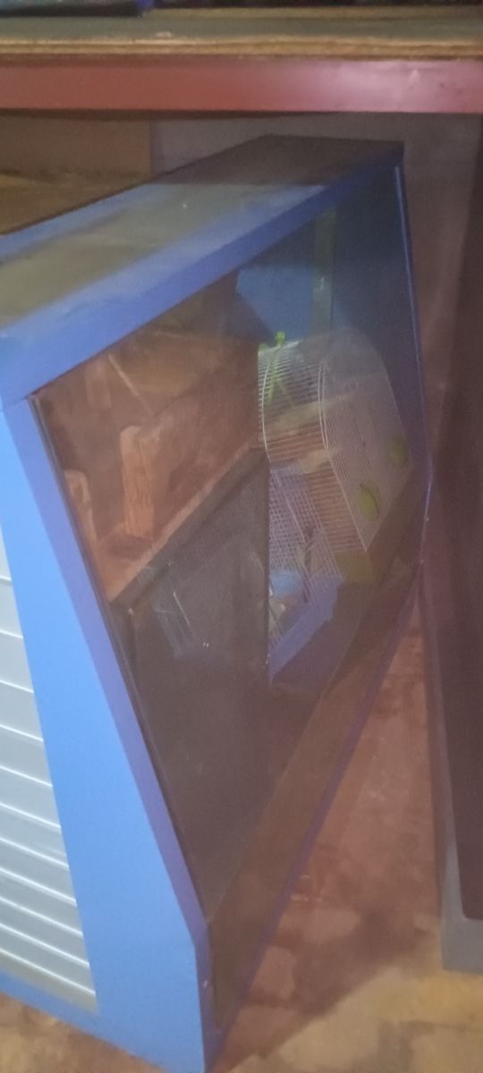 Terrario ideal iguanas