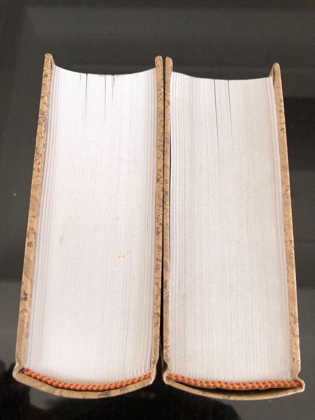 Diccionario de Lengua E. Dos tomos.