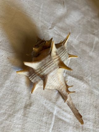 piccoli oggetti soprammobili